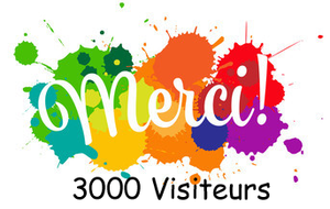 3000 VISITEURS