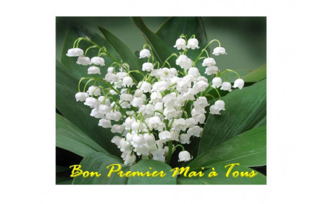 Bonne Fête du Premier Mai
