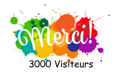 3000 VISITEURS