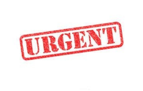 CHAMPIONNAT DES JEUNES (URGENT)